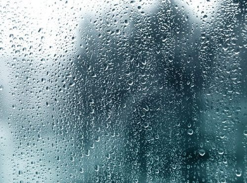 window replacement in Scarborough